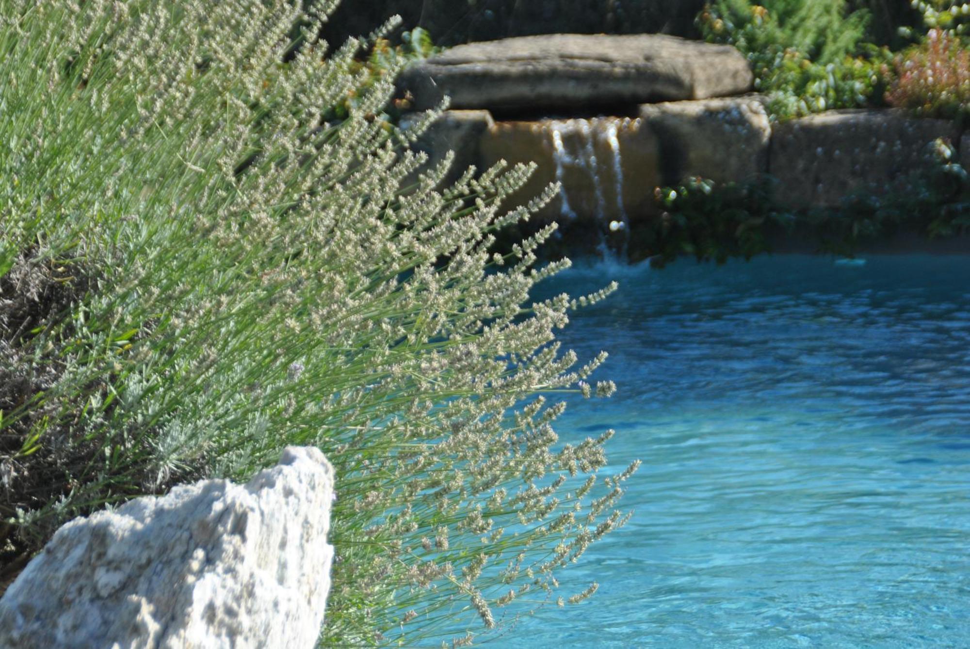 Agriturismo Campo Del Pillo Pietradura エクステリア 写真