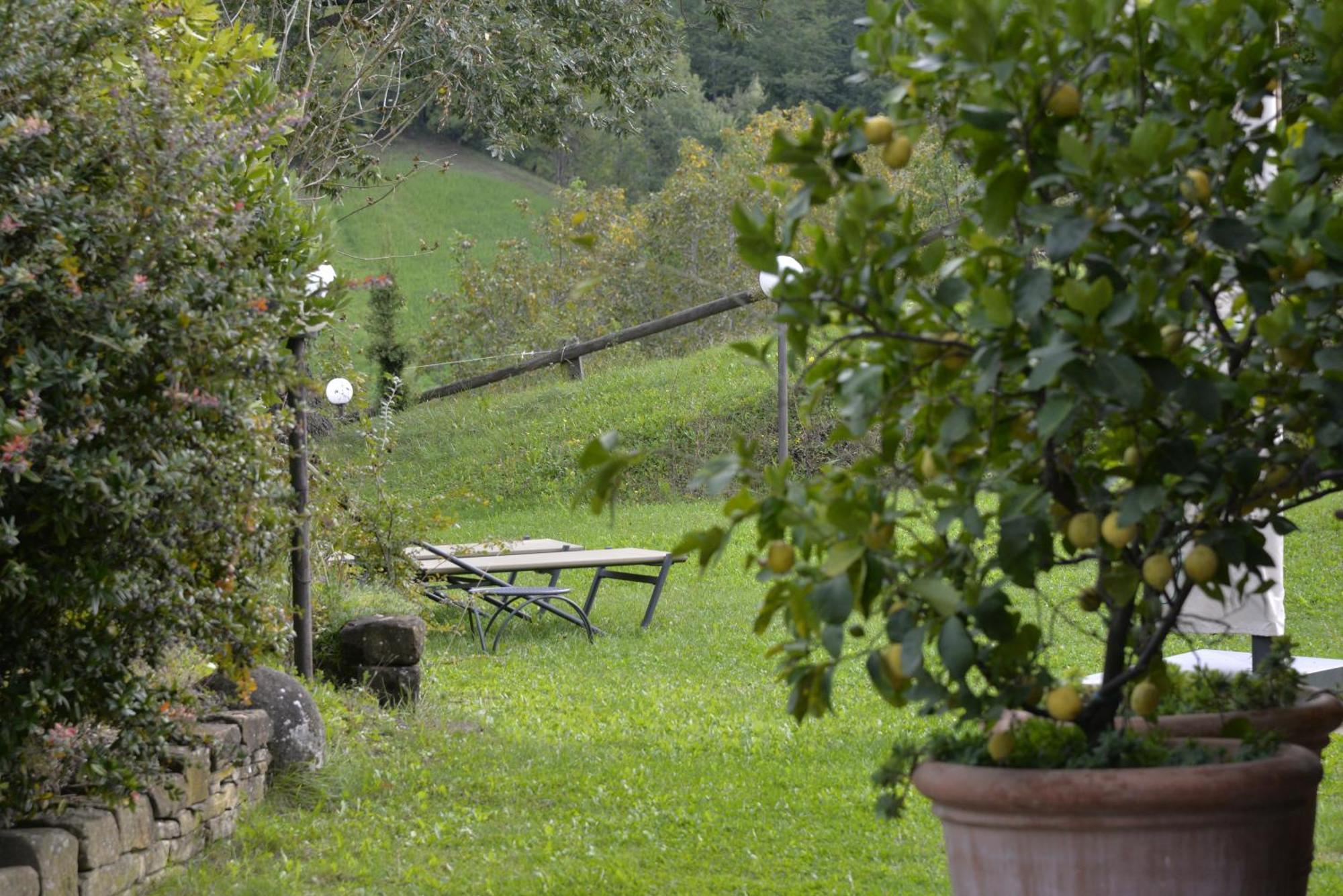 Agriturismo Campo Del Pillo Pietradura エクステリア 写真