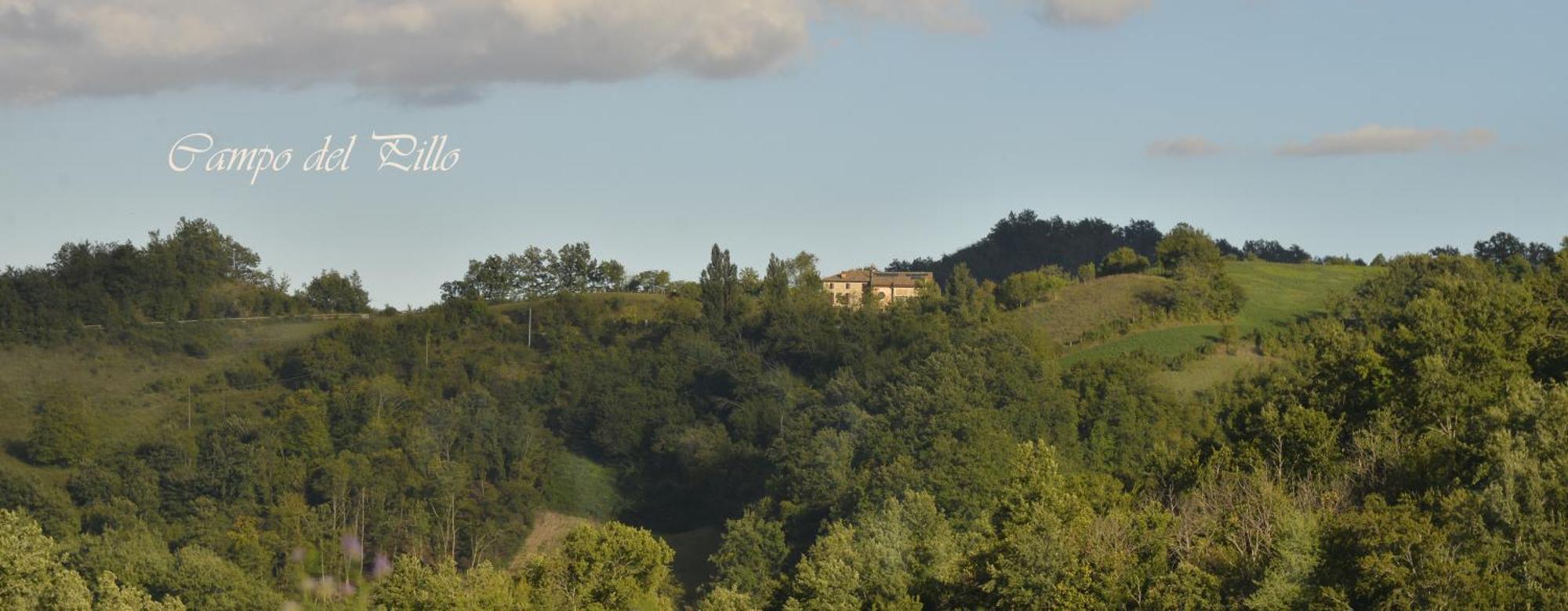 Agriturismo Campo Del Pillo Pietradura エクステリア 写真