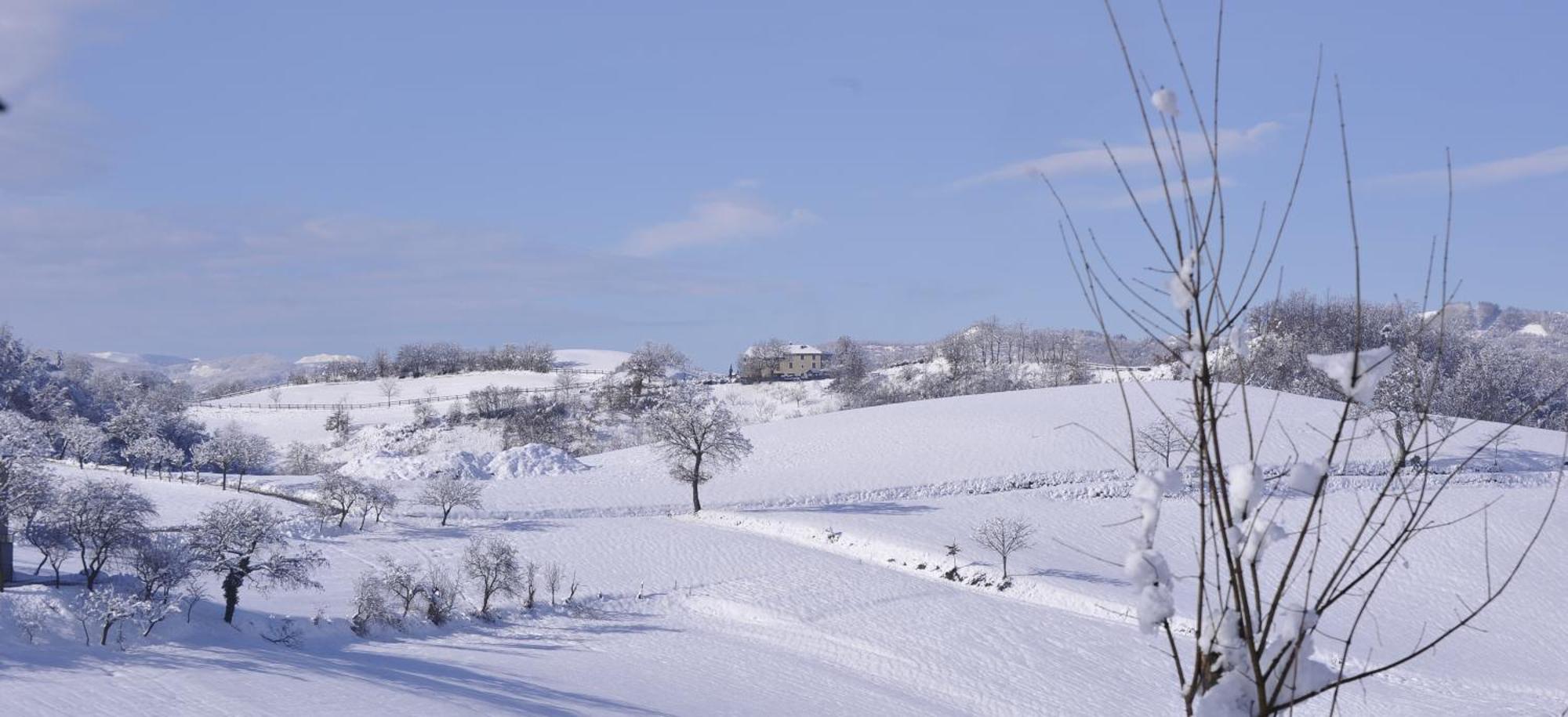 Agriturismo Campo Del Pillo Pietradura エクステリア 写真