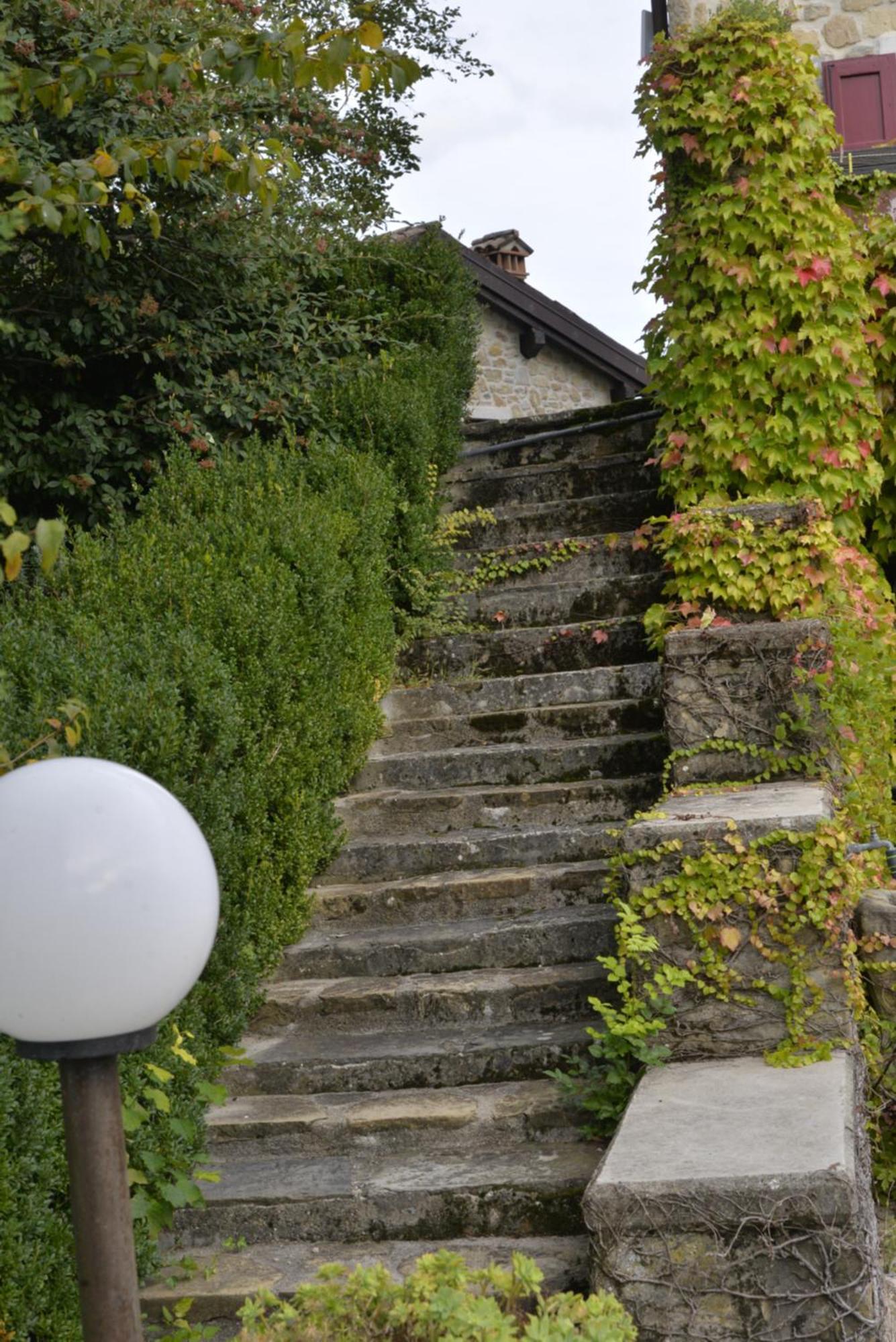 Agriturismo Campo Del Pillo Pietradura エクステリア 写真