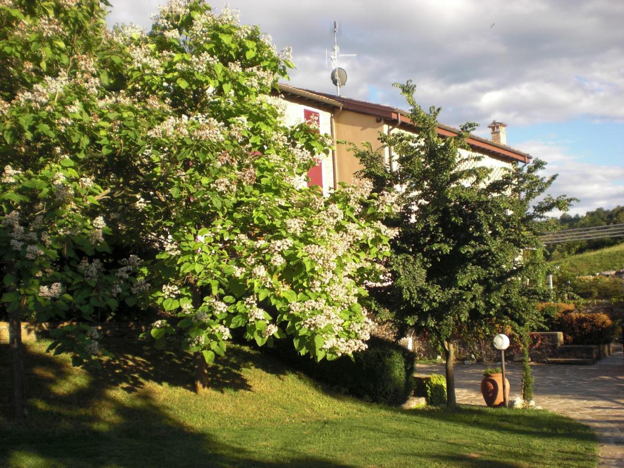 Agriturismo Campo Del Pillo Pietradura エクステリア 写真
